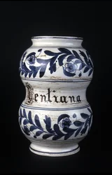 Albarelle: ehemaliges Apothekengefäß aus dem 16. Jahrhundert mit Enzian. Museum für Wissenschaft und Technik, Mailand