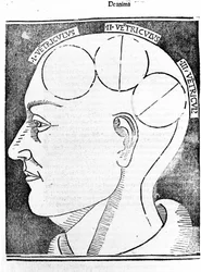 Aristotelis libri IV de coelo et mundo Cum Expositione S.Thomae de Aquino et Cum Additione Petri Alverniae. Dies ist das Buch von Aristoteles mit dem Kommentar von St. Thomas von Aquin und einer zusätzlichen Erklärung von Peter von Alvernia. Venedig, Ausga