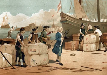 Bernard de Jussieu (1699-1777), französischer Botaniker, brachte 1734 den Zedernfuß aus England zurück.