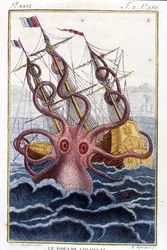 Kolossaler Oktopus (Riesenkrake) greift ein Schiff an - Gravur aus dem Buch von Pierre Denys-Montfort „Histoire naturelle des mollusques“, Originalausgabe von 1802