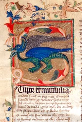 Drachenverzierte Initiale (Detail)