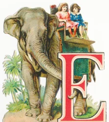 E: Elefant