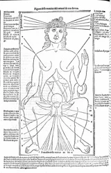 Weibliche Fortpflanzungsorgane - in Abhandlung der Medizin von Gerolamo Cardano (Cardano) (Cardanus Hieronymus), Florenz 1585.