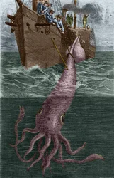 Fang eines gigantischen Tintenfischs durch die französische Korvette l