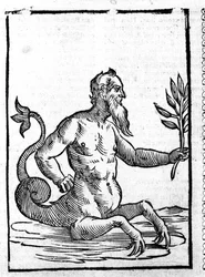 Glaukos mit dem magischen Gras, das ihm erlaubt, im Meer zu leben - in Mythologiae sive explicationis fabularum von Natalis Comitis. Patavia