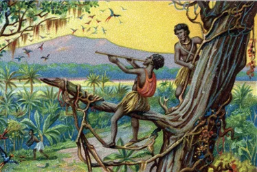 Jagdmethode. Jagd auf Kolibris im polynesischen Archipel: Die Bewohner verwenden Köder. Chromolithographie des 19. Jahrhunderts.