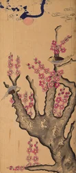 Hwajodo