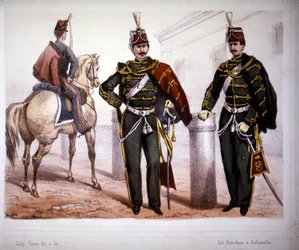 Piacenza Husaren, Kostüm 1866