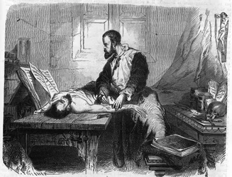 Porträt von André Vésale (1514-1564), niederländischer Anatom (Latein: Andrea Vesalius, Niederländisch: Andries Van Wesel). Gravur von 1866