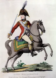 Porträt von Lord Wellington (1769-1852), General der britischen Truppen in Spanien
