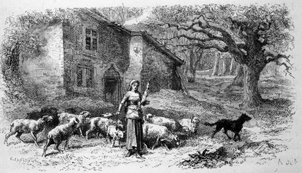 Darstellung von Jeanne d