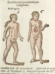 Darstellung eines Androgynen und eines Hermaphroditen. Platte aus „De natura Divinis caracteris“ von Cornelio Gemma 1575