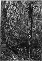 Straßenbau in Mittelamerika: Das Bohren der nicaraguanischen Straße durch einen Urwald. Zeichnung von Leutnant Olivier, Mitglied der Expedition von Kapitän Bedford Pim