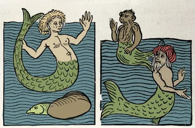 Sirene oder Jungfrau des Meeres, Affe und Seetürke. Gravur aus „Hortus sanitatis“