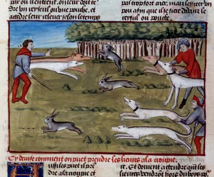 Die Hasenjagd