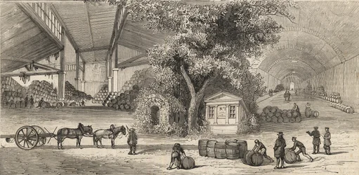 Das Weindepot in Paris im Jahr 1861 - Keller