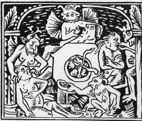 Die Teufelsquäler zwingen Kröten und Schlangen den Vielfraßen auf - 
