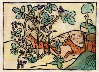 Der Fuchs und die Trauben. Fabel von Äsop
