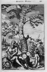 Der Stammbaum von Adam bis Abraham - Bibel