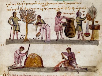 Die Olivenernte, die Honigproduktion und die Lammerschlachtungen. Miniatur aus „Die Cynegetik“ von Oppian von Syrien, gewidmet Caracalla