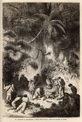 Die Zubereitung einer Mahlzeit im unberührten Wald im Caravaya-Tal (Anden-Kordillere), eine Boa Constrictor mit kurzer Brühe. Gravur zur Illustration der Reise in die Täler von Quinquinas (Peru), von Paul Marcoy, 1849-1861, veröffentlicht in „Le tour du mo