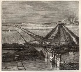 Die Salzwiese von Giraud in der Camargue (Bouches-du-Rhône), Ansicht vom Dienstkanal - Gravur in 