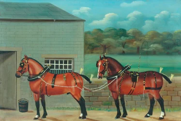 Zwei Pferde im Geschirr, ca. 1910