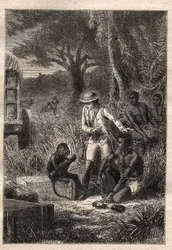 Reise in die Kaffern (Südafrika) (1781) von Francois Levaillant (Le Vaillant) (1753-1824): Levaillant und sein Affe Maitre Kees, der die Früchte und Wurzeln probiert, um zu überprüfen, ob sie essbar sind - Illustration aus „Die großen Seefahrer des 18. Jah