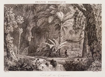 Gravur, die die französische Kolonie Guyana in Südamerika 1850 darstellt