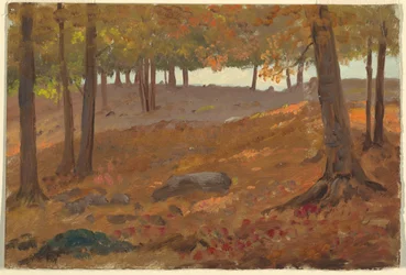 Wälder im Herbst
