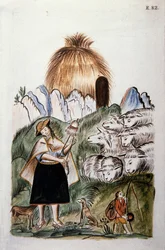 Eine indische Schäferin in der Nähe ihrer Hütte mit ihrer Herde, aus dem Buch "Trujillo del Peru" oder "Códice Martínez Compañón", von Baltazar Martinez Compañón y Bujanda, Bischof von Trujillo (1782-1785)