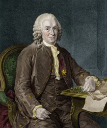 Carl von Linné, schwedischer Naturforscher und Schriftsteller (1707 - 1778).
