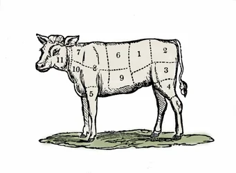 Kalbfleischklemmen.