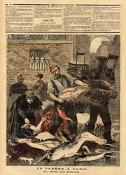 La Halle aux poissons de Paris. Gravur in „Le petit journal“ 4/03/1893. Sammlung von Selva
