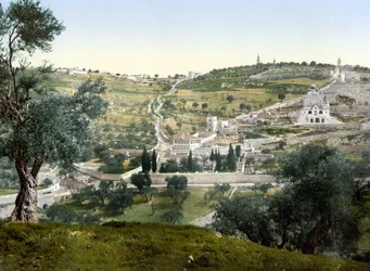 Ölberg und Gethsemane, Jerusalem. Fotochrom zwischen 1890-1900.
