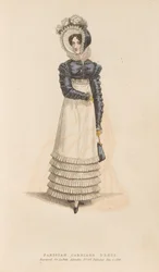 Pariser Kutschenkleid