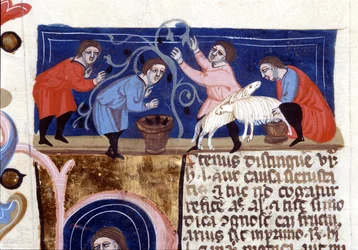 Obsternte und Melken von Schafen. Manuskript aus dem 14. Jahrhundert. Biblioteca Nazionale Braidense, Mailand.