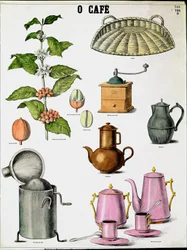 Tafel, die die verschiedenen Stadien der Kaffeeherstellung illustriert. Gravur des 19. Jahrhunderts