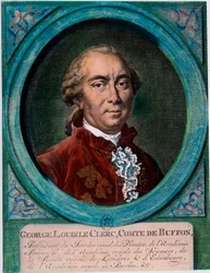 Porträt von George Louis Le Clerc, Graf von Buffon (1707-1788), französischer Naturforscher und Schriftsteller. Gravur des 18. Jahrhunderts. Private Sammlung