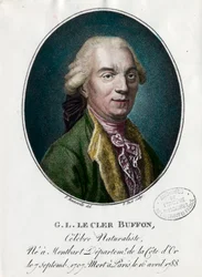Porträt von George Louis Le Clerc, Graf von Buffon