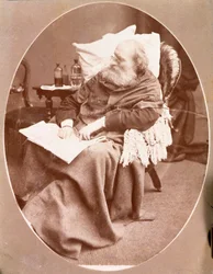 Porträt des italienischen Patrioten und Helden des Risorgimento Giuseppe Garibaldi in Caprera im Jahr 1882. Fotografie. Private Sammlung