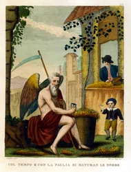 Sprichwörter: „Mit Zeit und Stroh reifen die Mispeln und Eicheln“ (Zeit macht alles reif), Illustration aus einer Sammlung von Sprichwörtern. 19. Jahrhundert