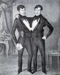 Siamese
