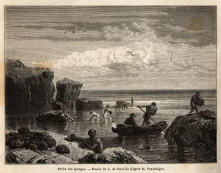 Schwammfischen durch die Inselbewohner von Anastasia Island, bei Ebbe, Frauen und Kinder sammeln unter den Felsen und Männer fahren mit Kanus hinaus, um sie vom Meeresgrund zu bergen. Gravur zur Illustration der Geschichte "Vier Monate in Florida", von Ach