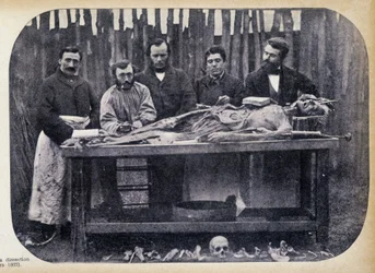 Dissektion, ca. 1865