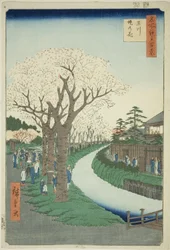 Blüten am Damm des Tama-Flusses (Tamagawa-zutsumi no hana), aus der Serie Einhundert berühmte Ansichten von Edo (Meisho Edo hyakkei)