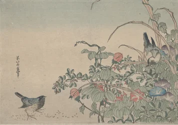 Hüttensänger mit Prunkwinden und Buschklee, ca. 1833