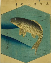 Karpfen im Tone-Fluss (Tonegawa no koi), Abschnitt eines Blattes aus der Serie "Ausschnitte berühmter Orte in Edo (Edo meisho harimaze zue)"