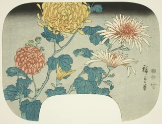 Chrysanthemen