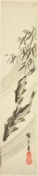 Fische in einem Bach
